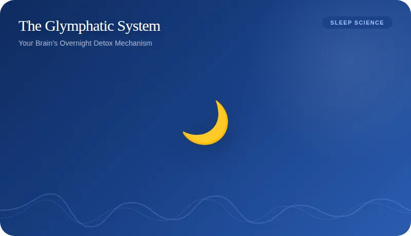 What Deep Sleep Does to Your Brain