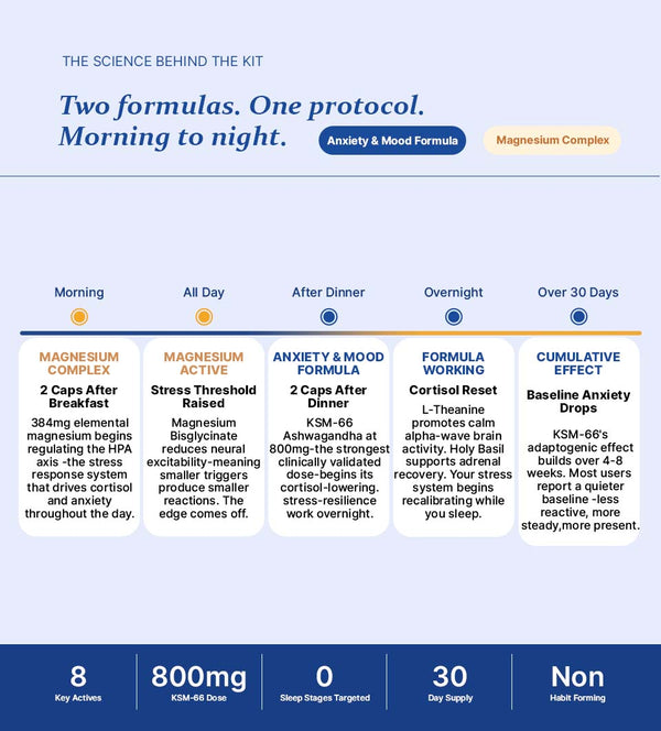 Anxiety and Mood Support Kit — Anxiety & Mood Formula & Magnesium Complex